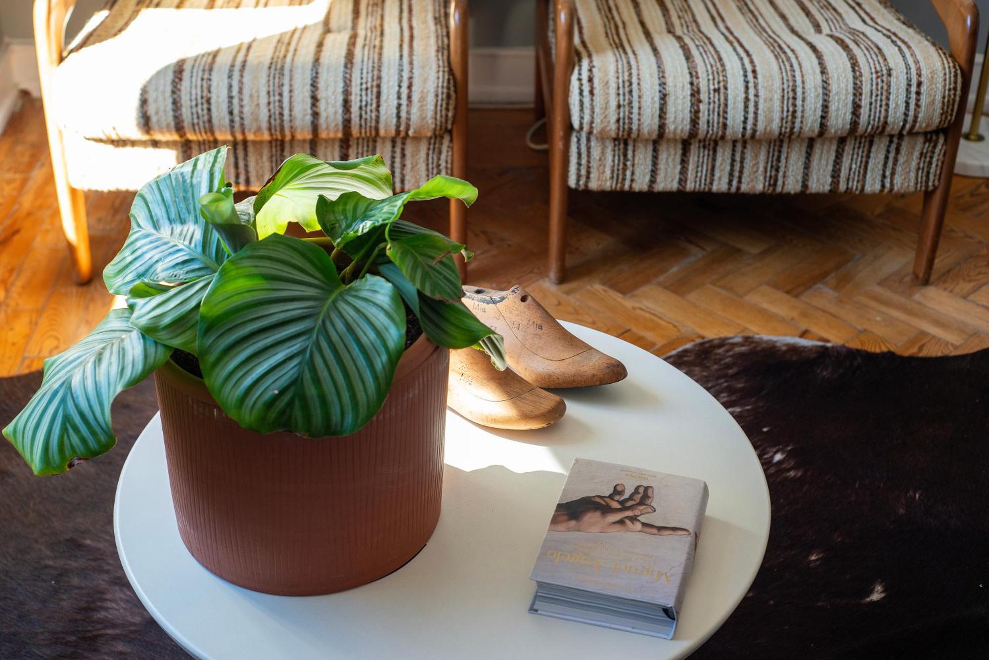 Graca - Castle | Lisbon Cheese & Wine Apartments Екстер'єр фото